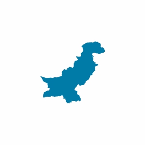 Pakistan Vizesi